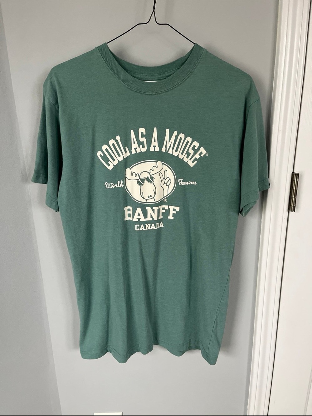 'Cool As A Moose' Short Sleeve Tee in Green